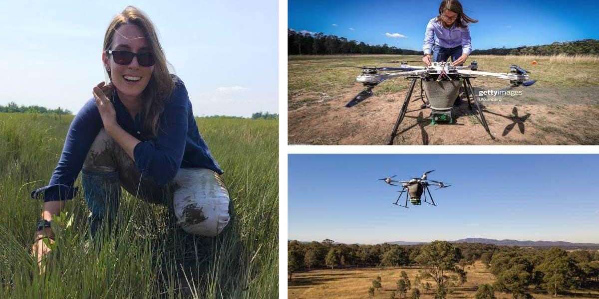 Australiana desarrolla unos drones capaces de plantar hasta 100 mil árboles por día